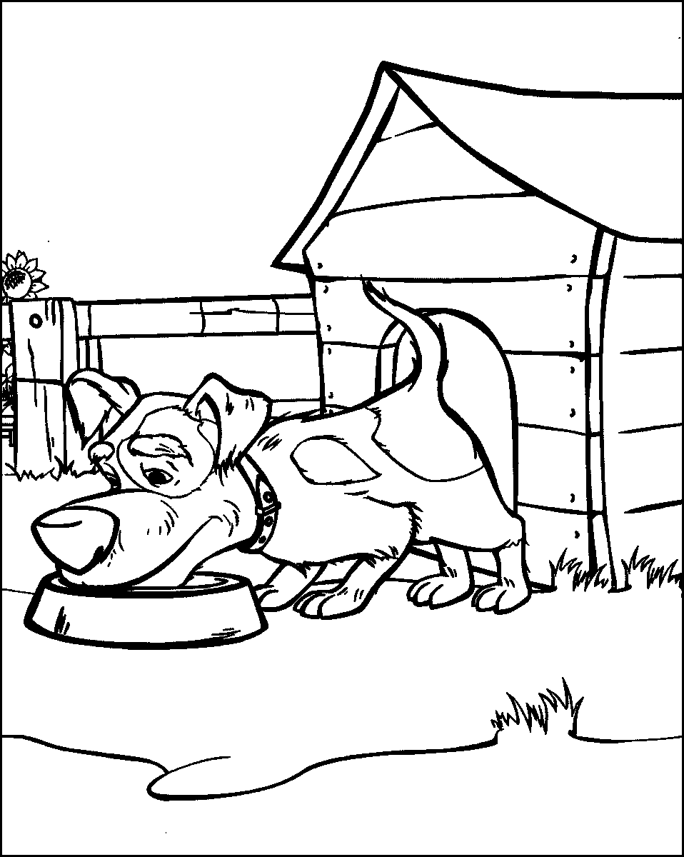 Here's how to enjoy live television. Masha And The Bear Coloring Pages
