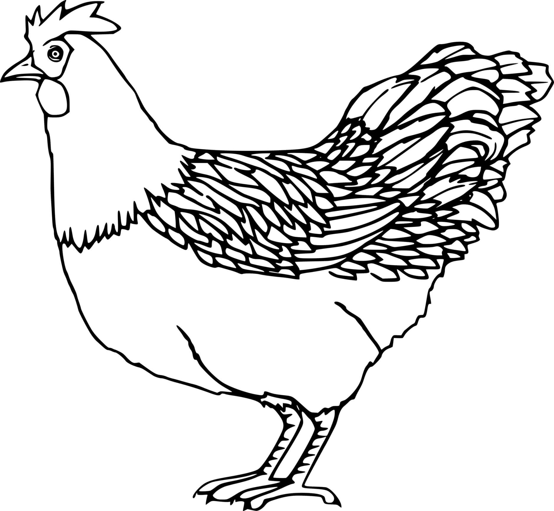 Realistic chicken coloring pages