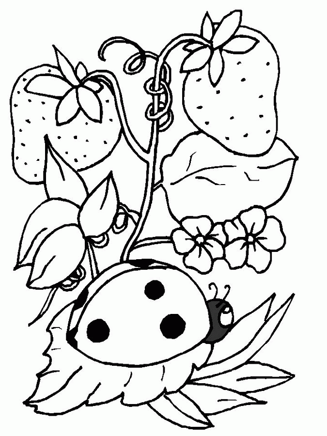 Ladybug coloring pages to print