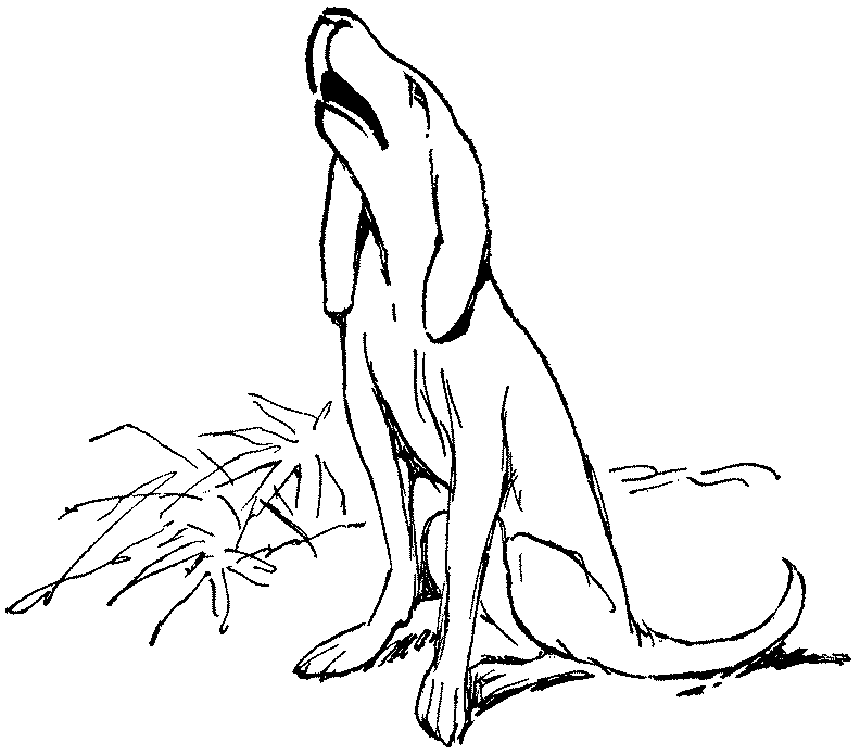 Be sure to draw your pup's community too! Wolf Pup Coloring Pages - Coloring Home