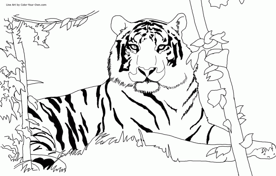 Here's a set of printable alphabet letters coloring pages for you to download and color. African Safari Animals Coloring Pages Coloring Home