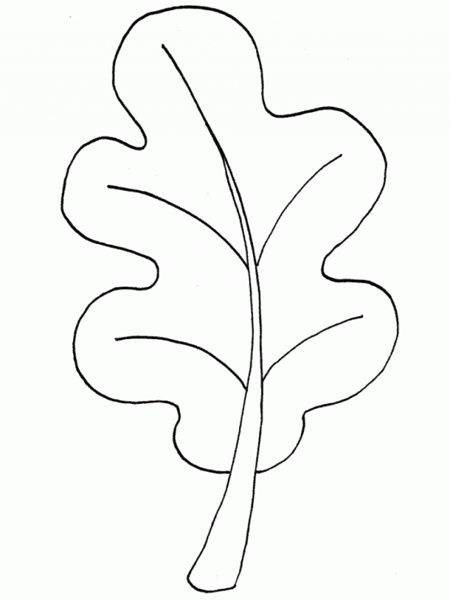 Coloring Now » Blog Archive » Leaf Coloring Pages