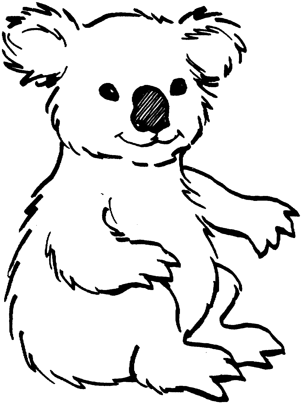 Koala bears coloring pages