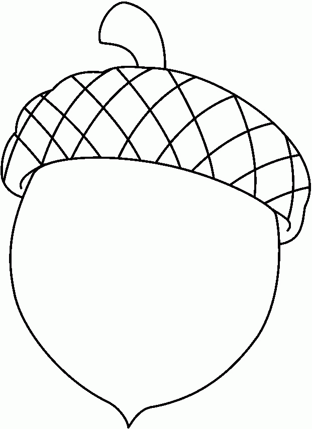 Acorn coloring pages for kids