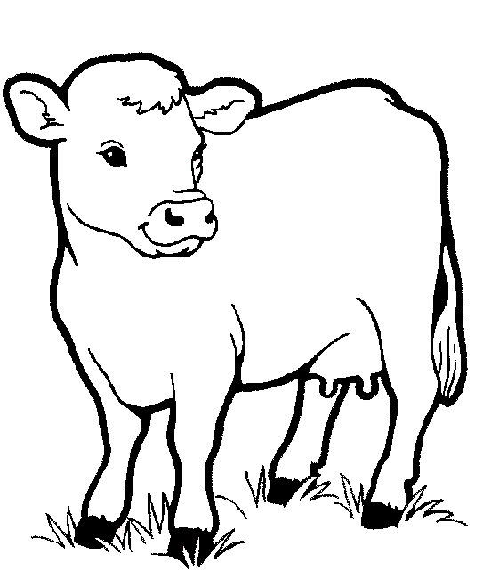 Animals coloring pages