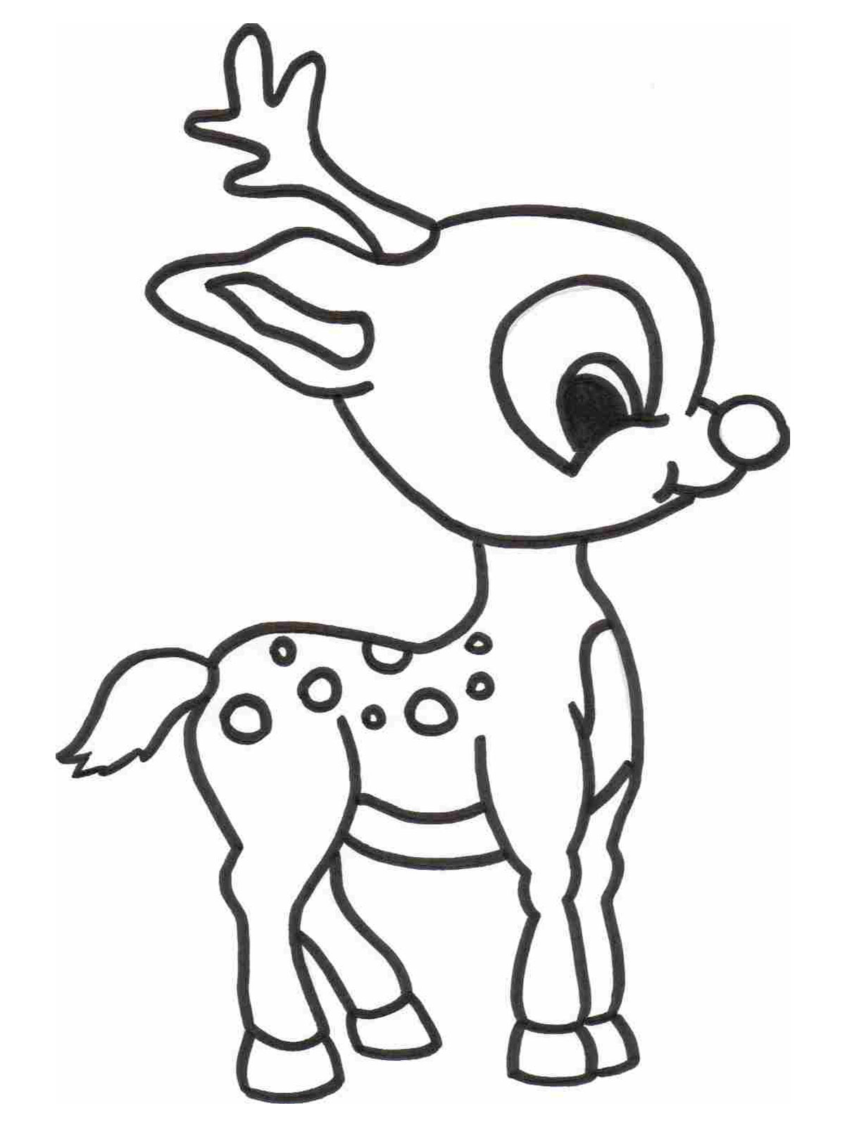 Animals coloring pages