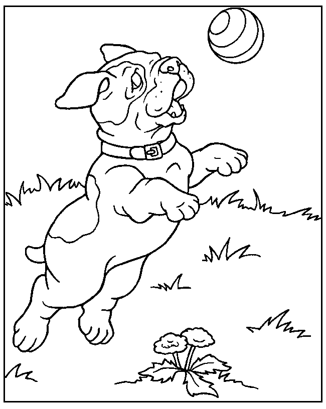dogs coloring pages coloring kids coloring kids
