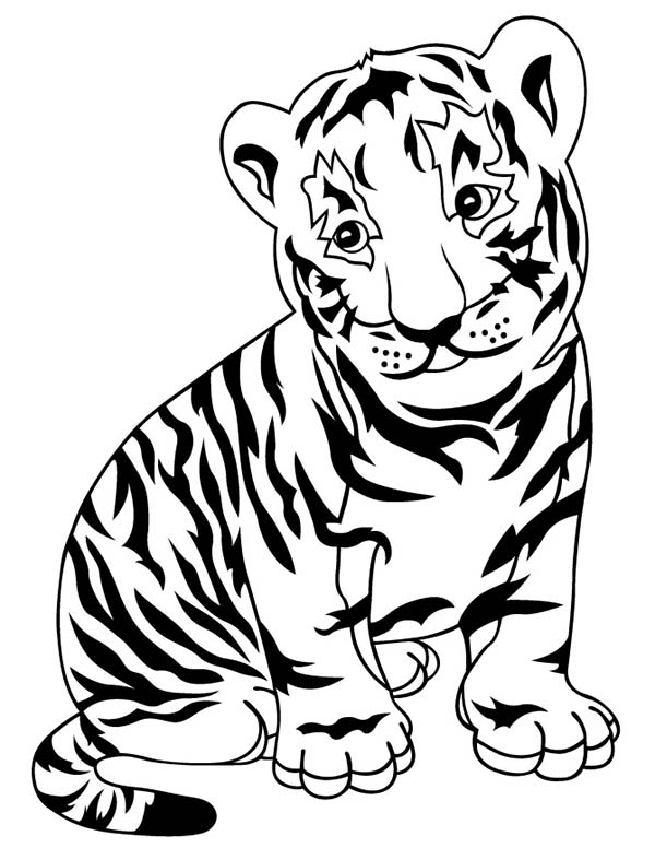 tigers coloring pages coloring kids coloring kids
