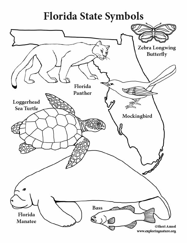 Florida Map Coloring Pages Coloring Nation EiMAarBdT 