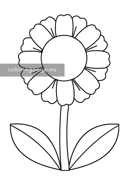 daisy flower coloring page coloring page