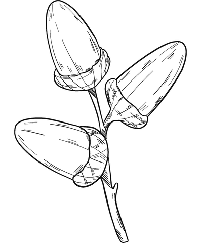 Download and print for free. The Flowers In The Sunset Art Coloring Pages Nature Seasons Coloring Pages Coloring Pages For Kids And Adults