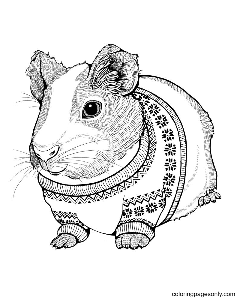 60 hamster coloring pages
