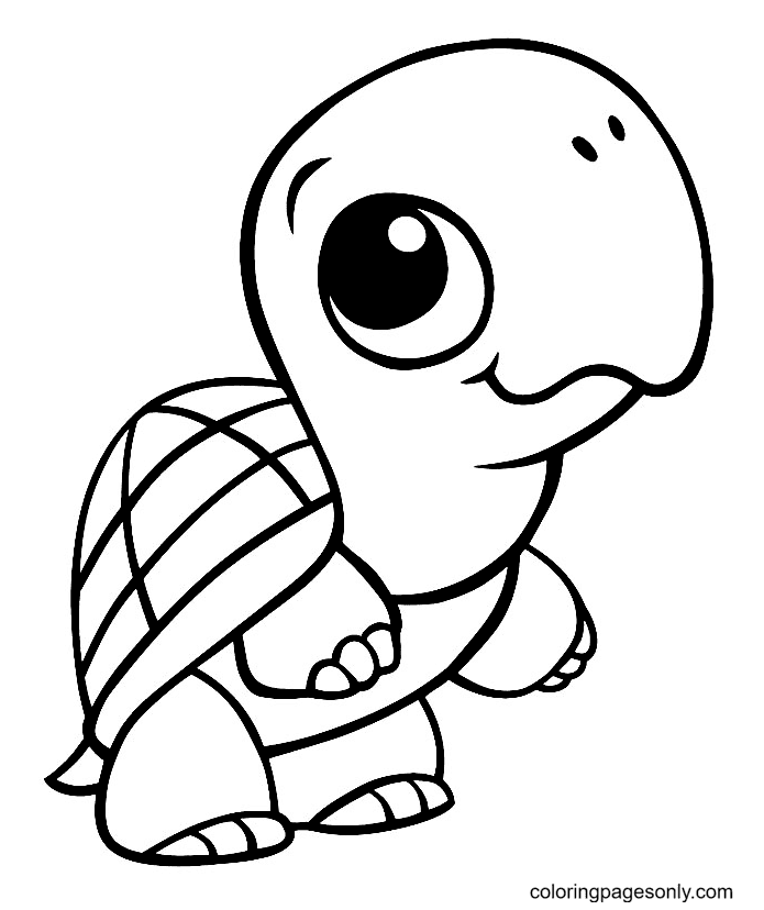 Cute baby turtle coloring page