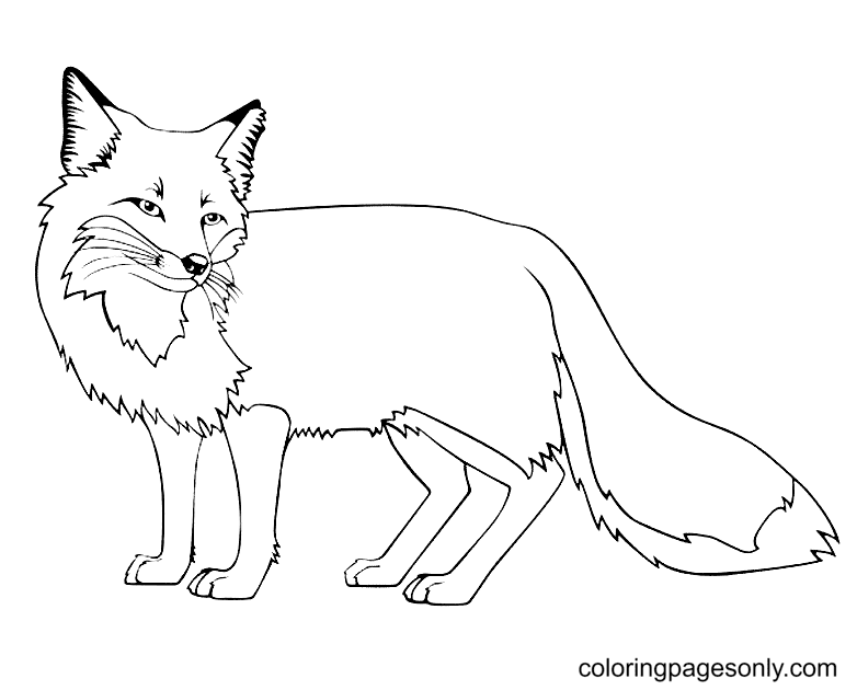 Discover (and save!) your own pins on pinterest. Fox Coloring Pages Coloring Pages For Kids And Adults