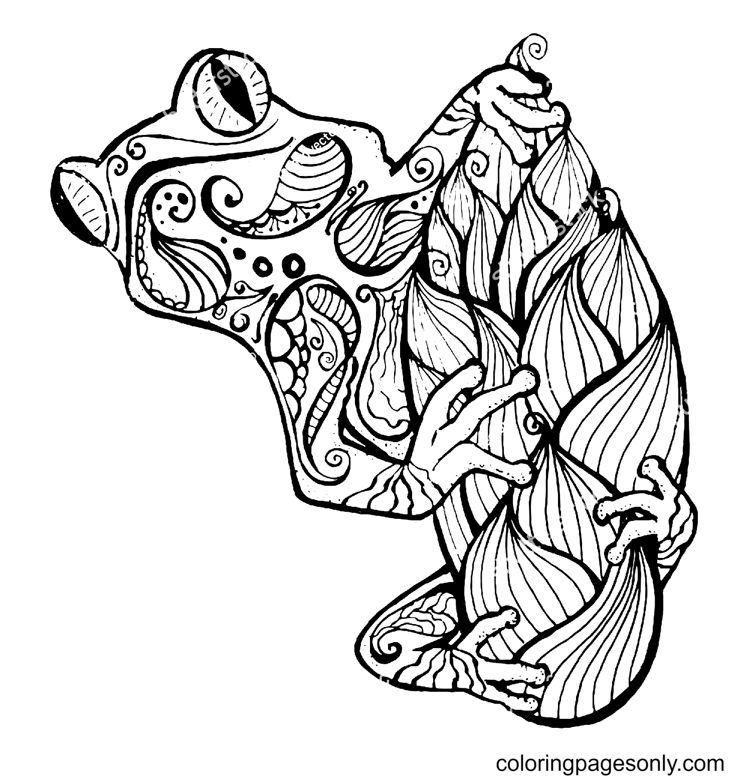 frog zentangle coloring pages frog coloring pages coloring pages for kids and adults