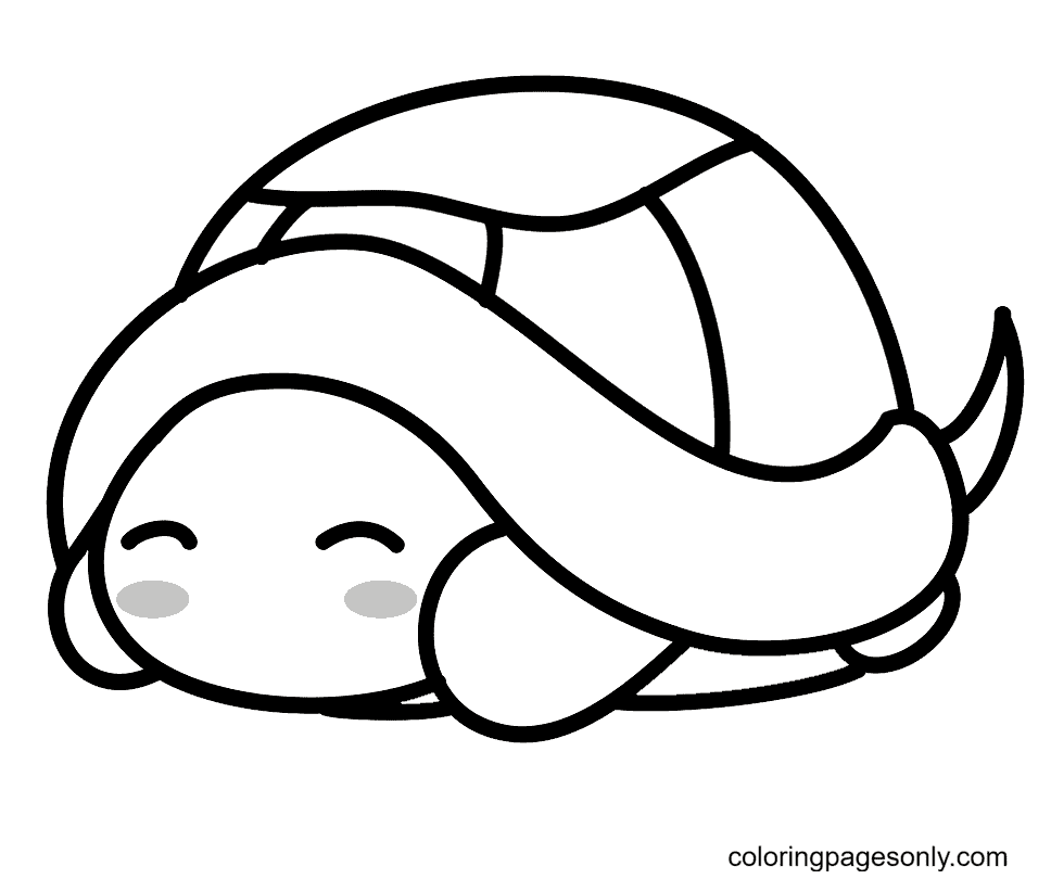 Have you ever wondered why your bruises change colors, or what those colors signify? Tiny Turtle Coloring Pages Turtle Coloring Pages Coloring Pages For Kids And Adults