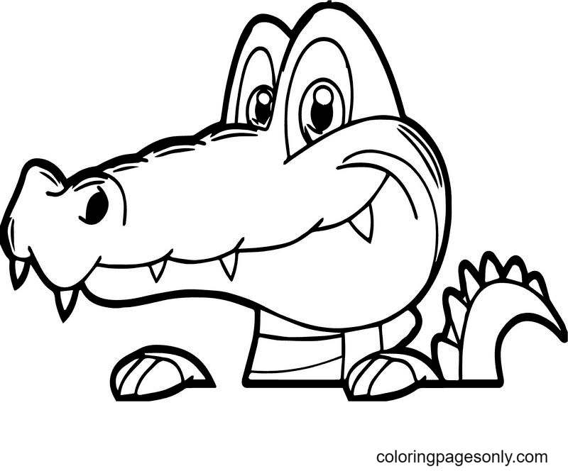 59 alligator coloring pages
