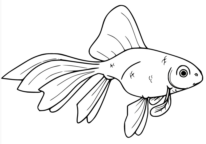 How much do they remember: Goldfish Coloring Pages Goldfish Coloring Pages Coloring Pages For Kids And Adults
