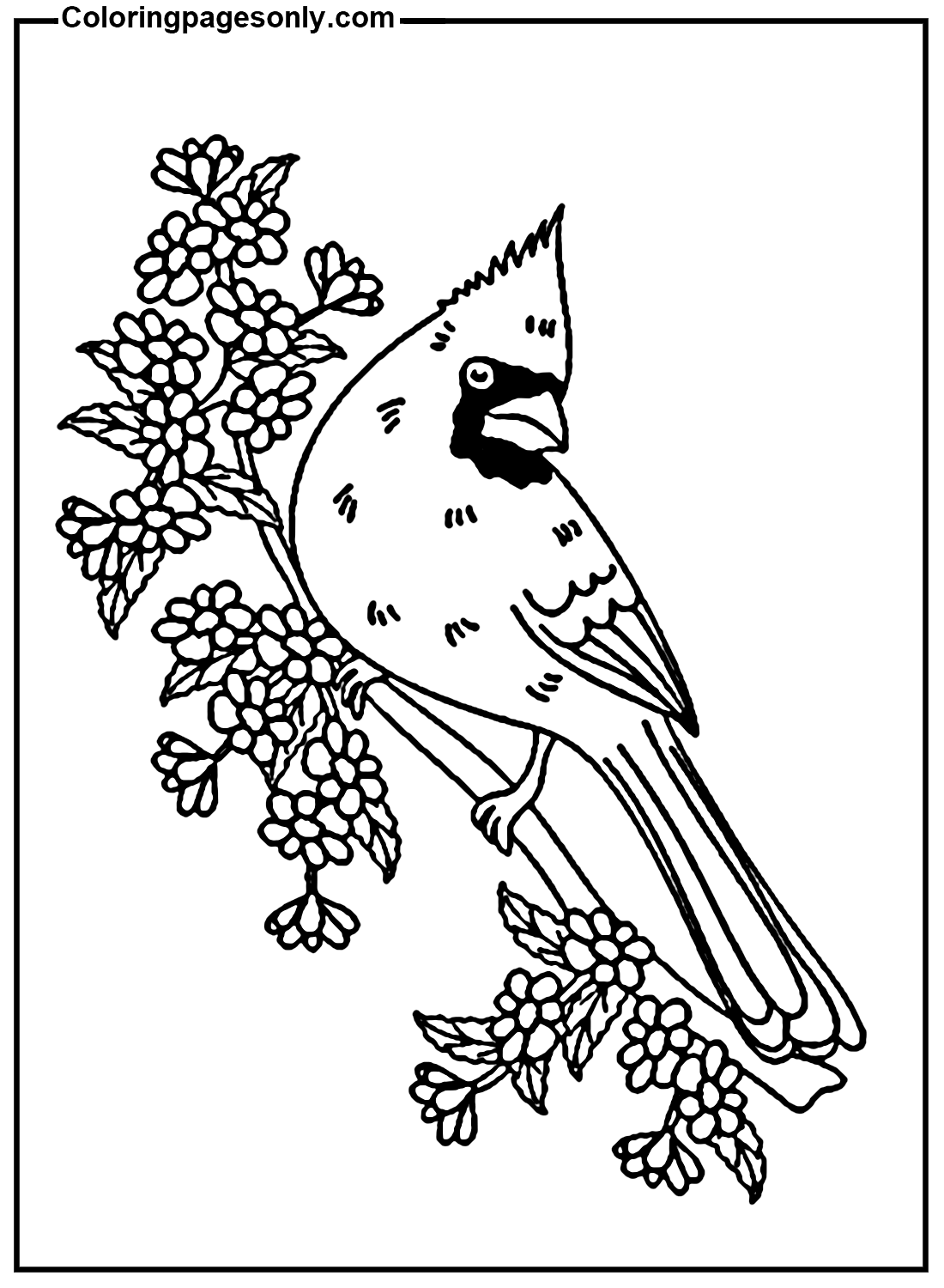 Cardinal image coloring page
