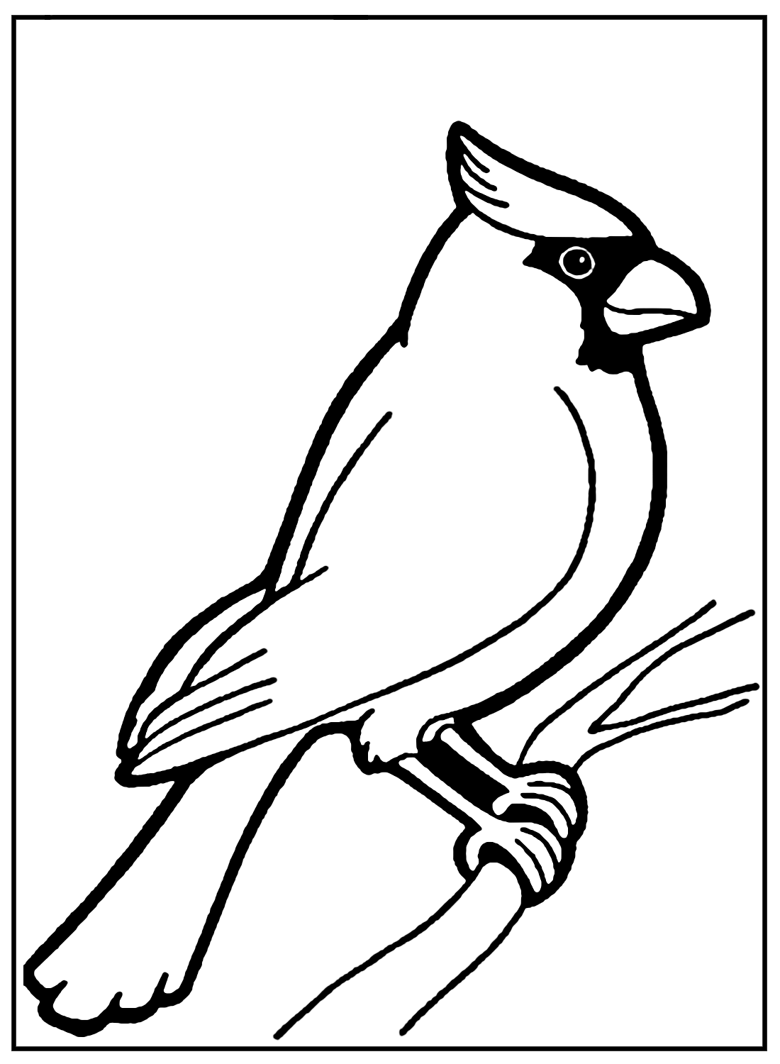 Red bird cardinal coloring page