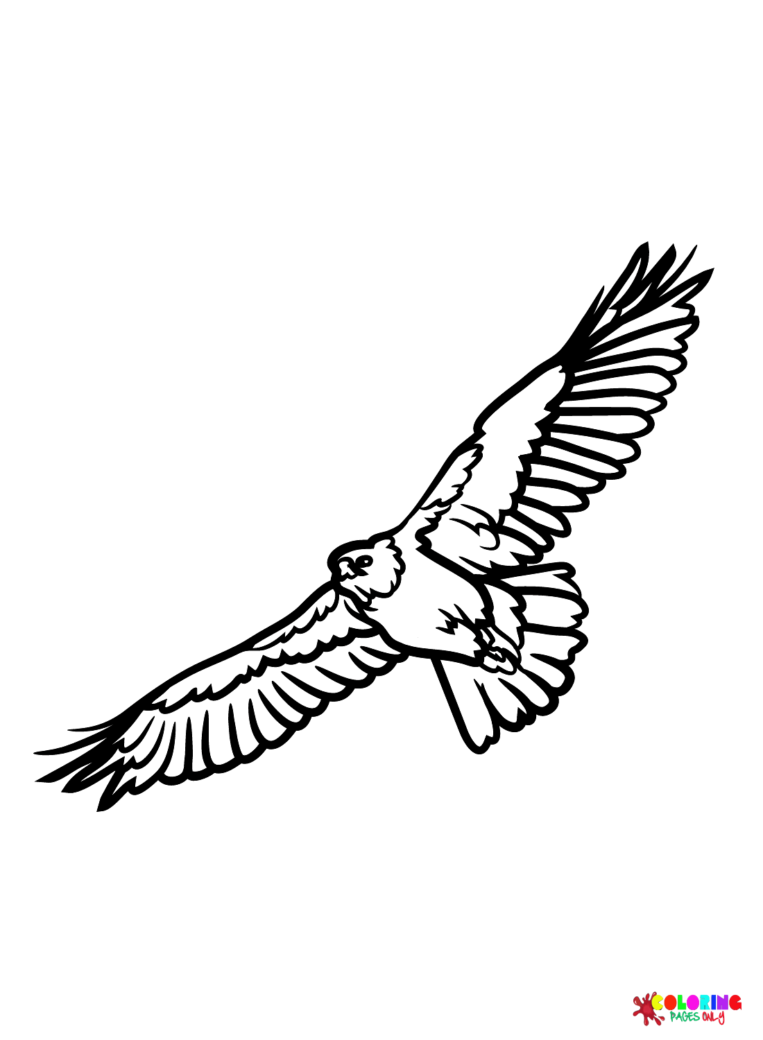 Free hawk coloring page