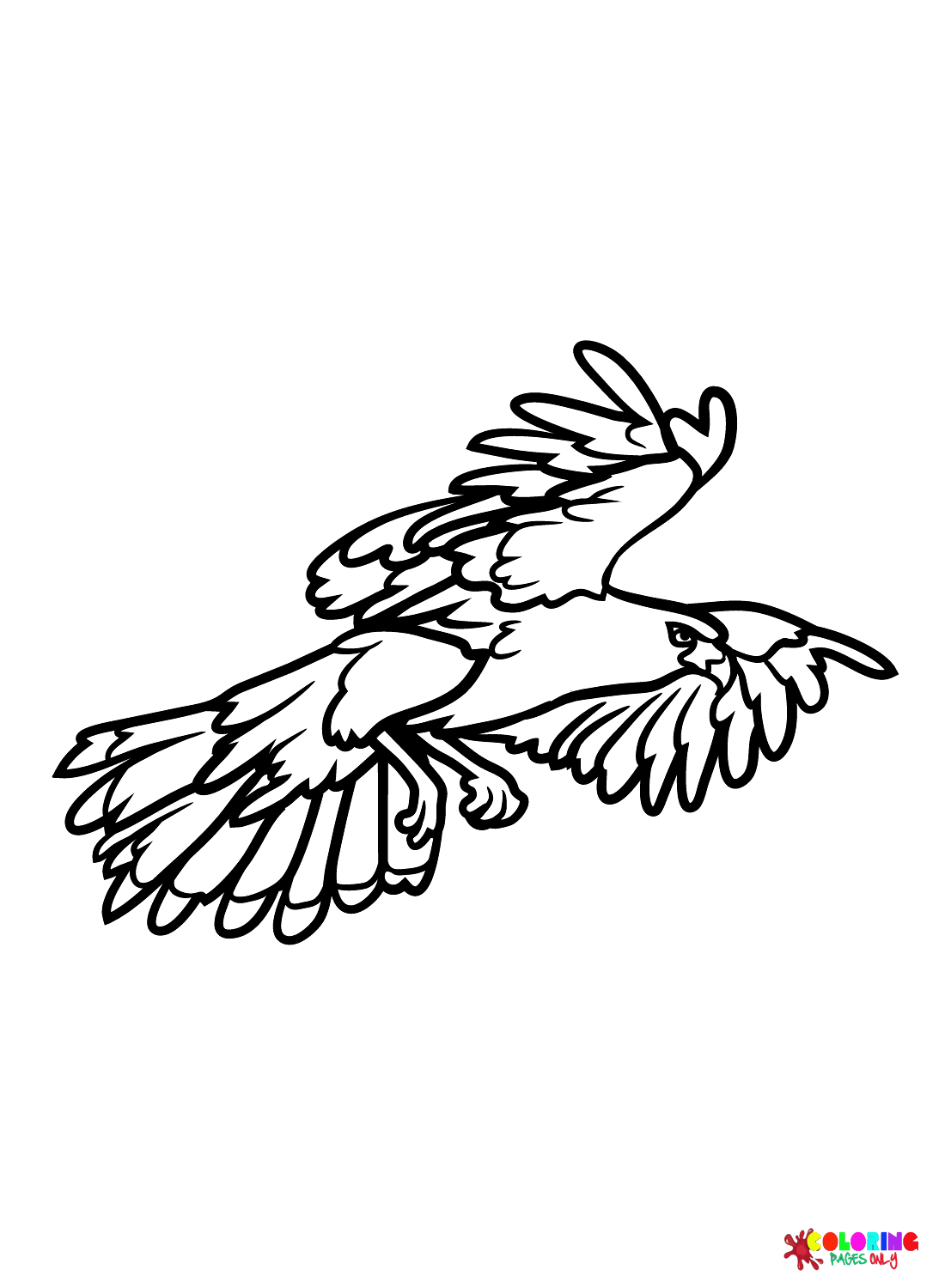 Hawk images coloring page