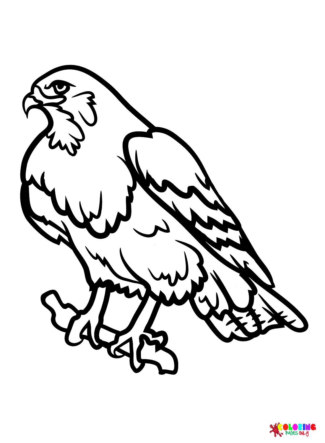 Pictures hawk coloring page