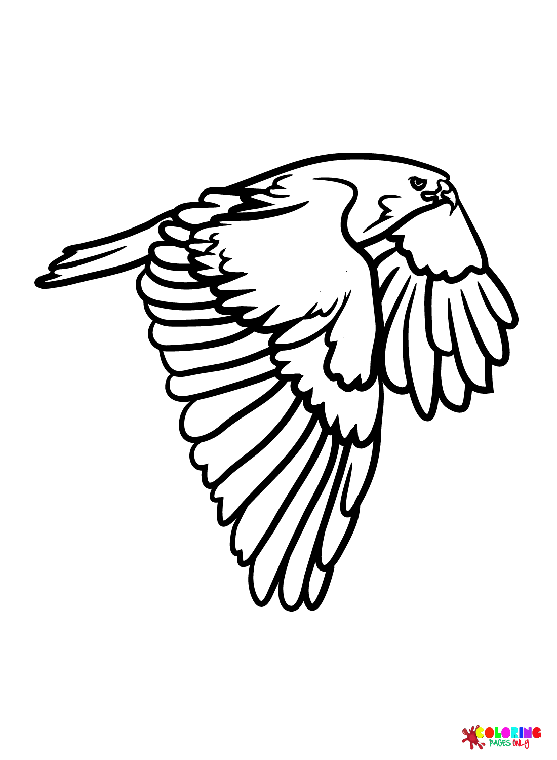 Red tailed hawk coloring page