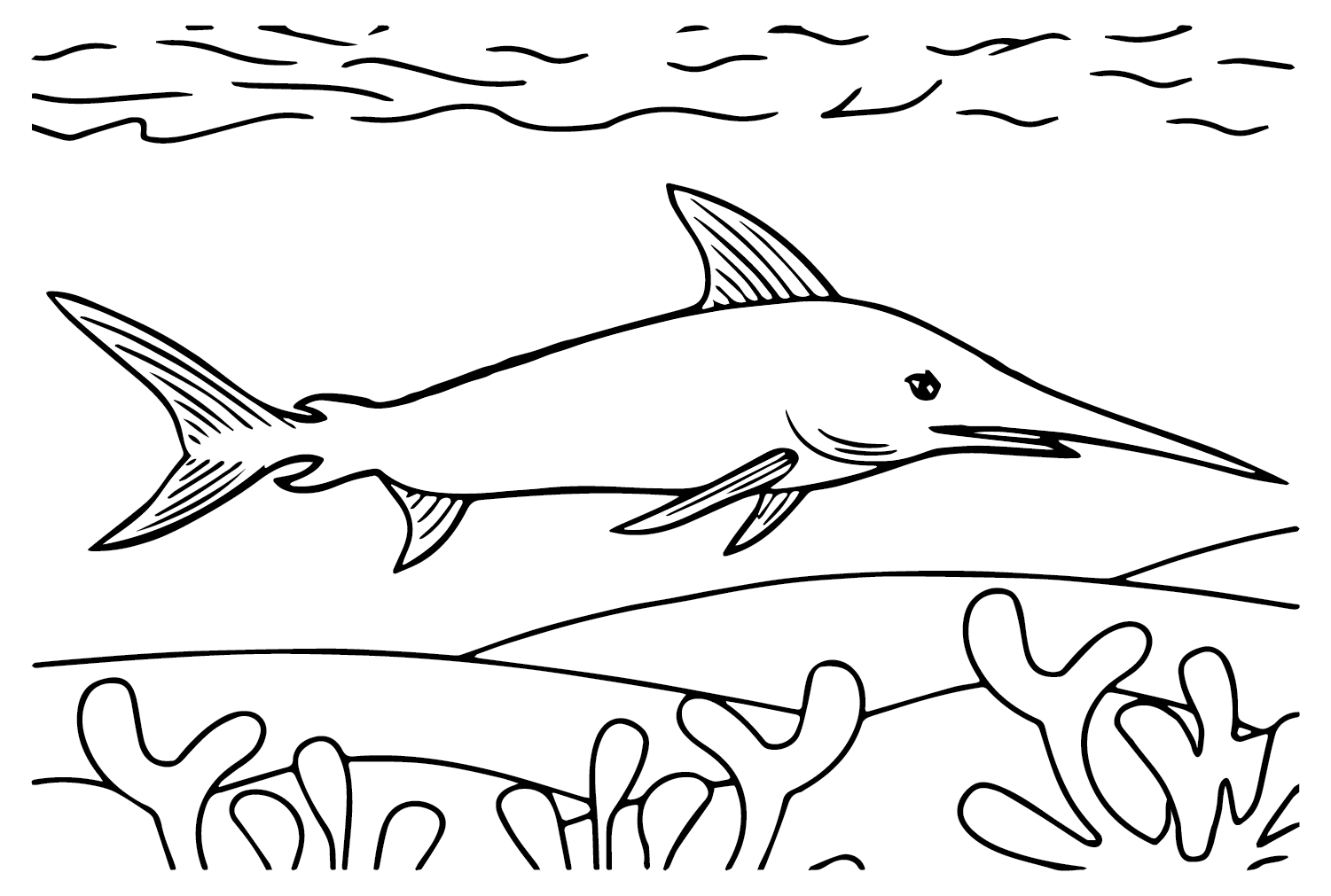 Swordfish printable coloring page