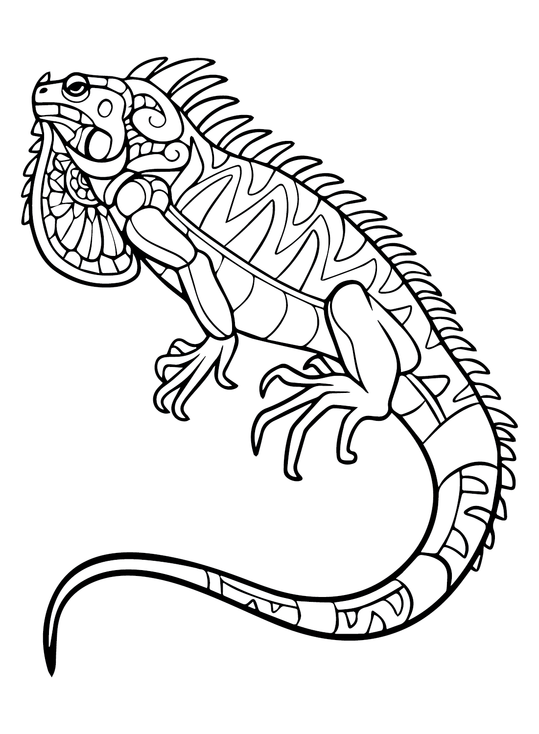 Iguana coloring page pdf