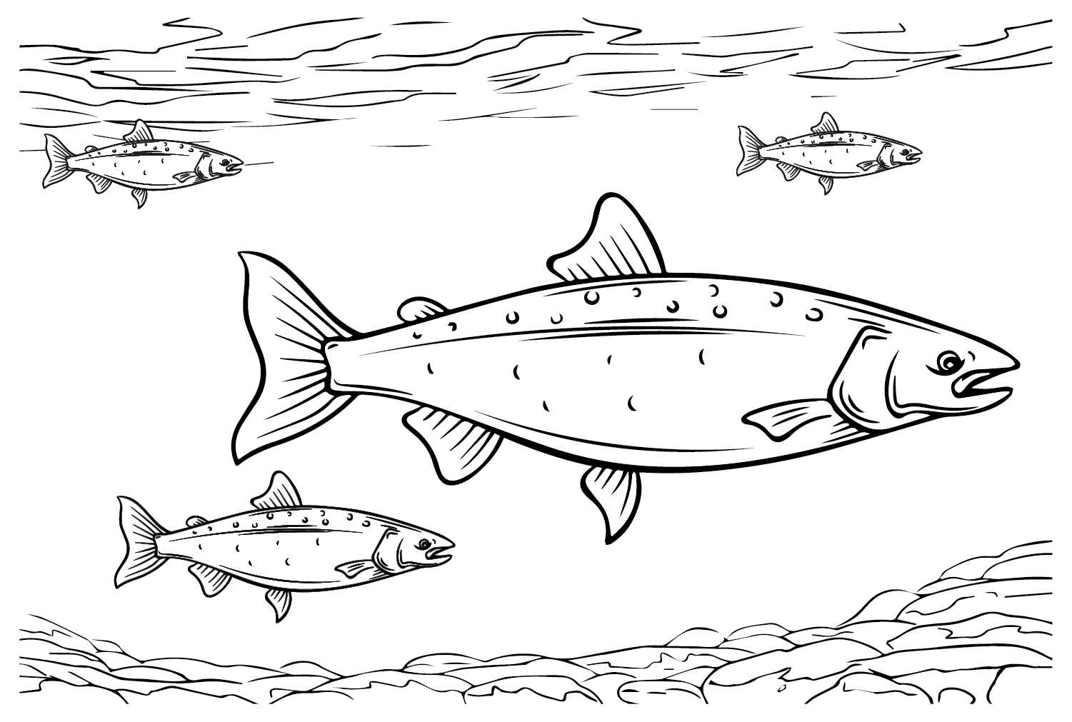Salmon free coloring page