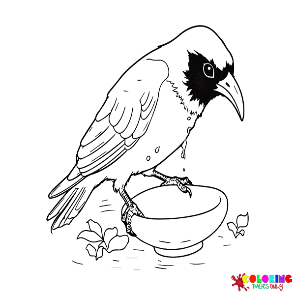 Crow coloring pages