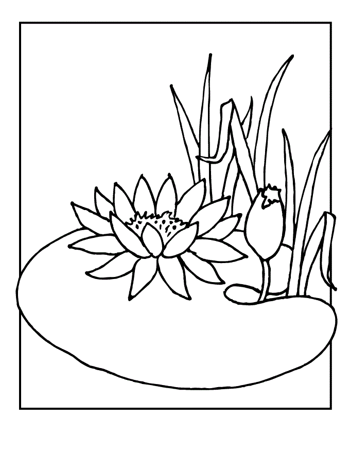Well, this describes kawaii to a t. Lily coloring pages to download and print for free
