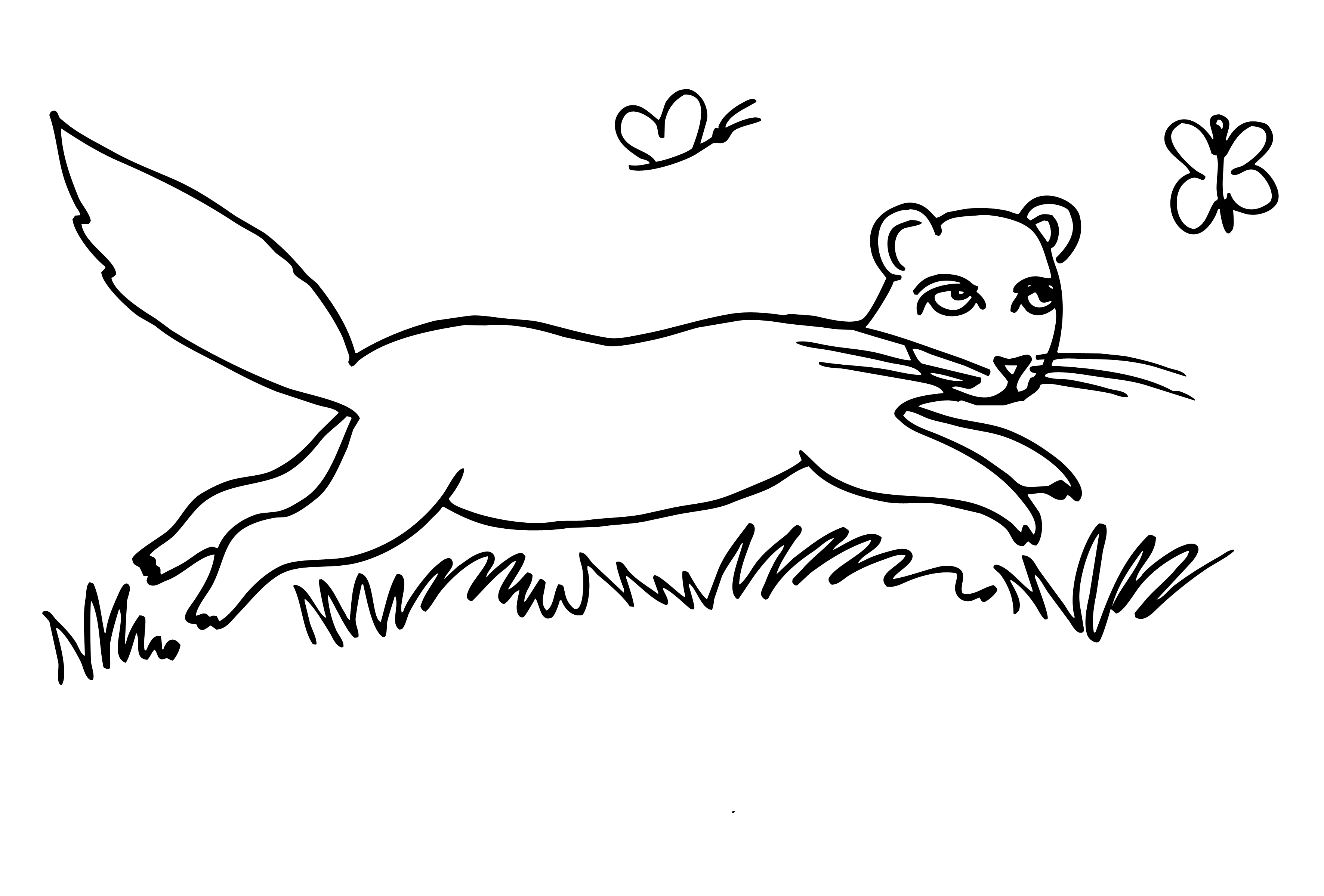 Webmar 8, 2022 · ferret owners should be aware that although ferrets can make good pets, they can sometimes carry germs that can make people sick. Ferret Coloring Pages to download and print for free
