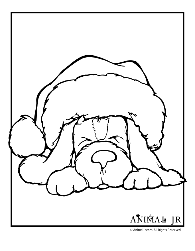 Cute animal christmas coloring pages download and print for free