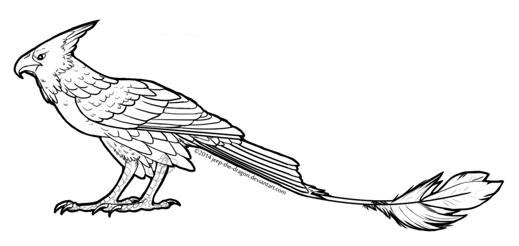 Hawk coloring pages to download and print for free