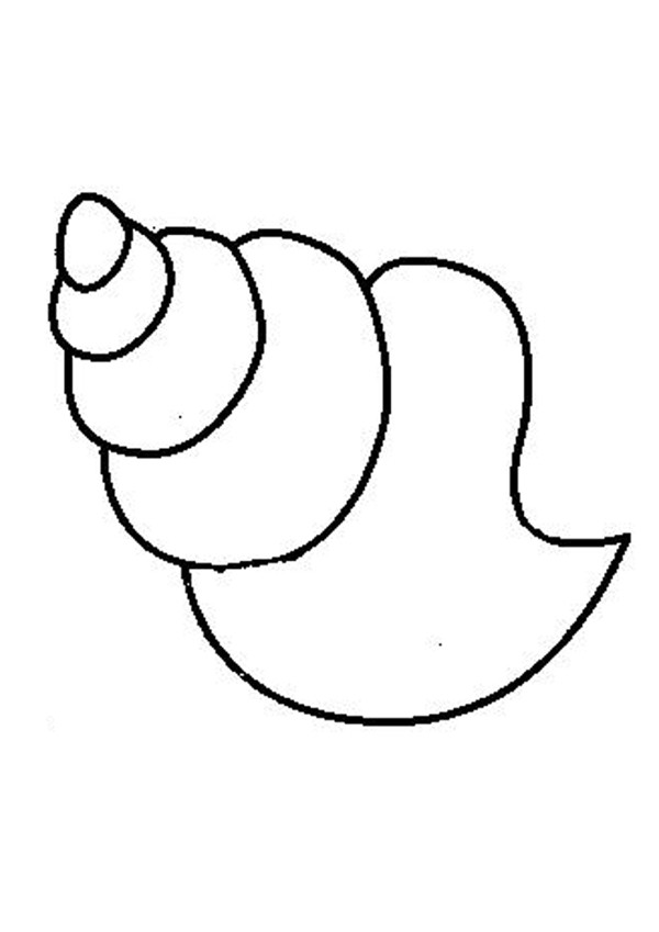 Shell coloring pages to download and print for free