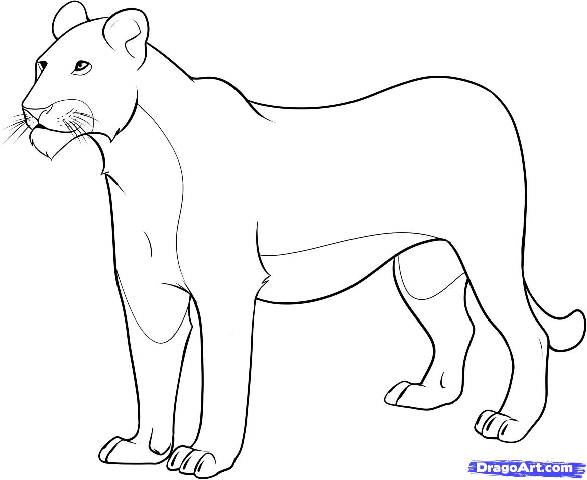 Lioness coloring pages download and print for free