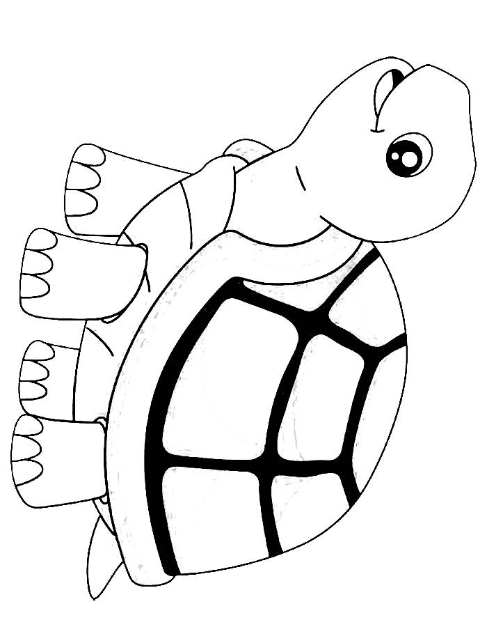 Simple tortoise drawing coloring page (free printable pdf)