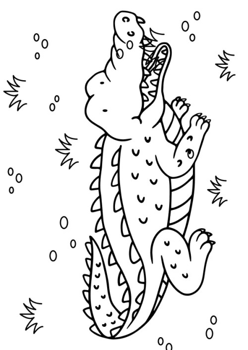 Alligator Coloring Pages 009