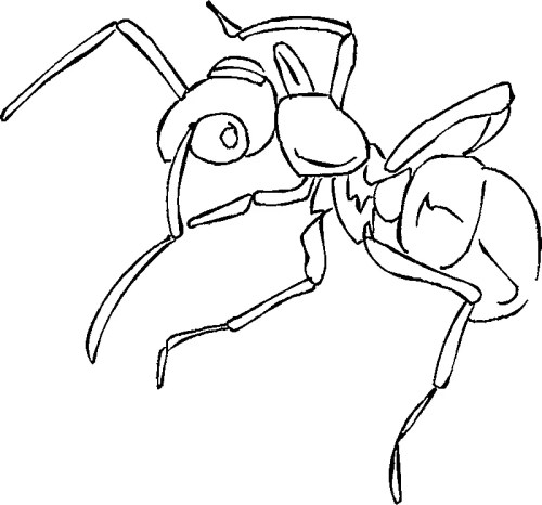 Ants Coloring Pages – 020