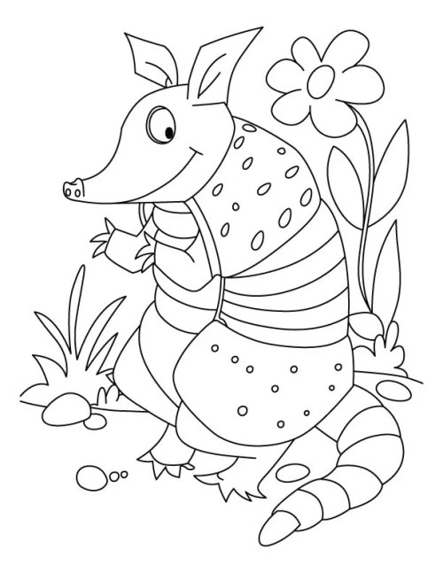 Armadillo Coloring Pages 011