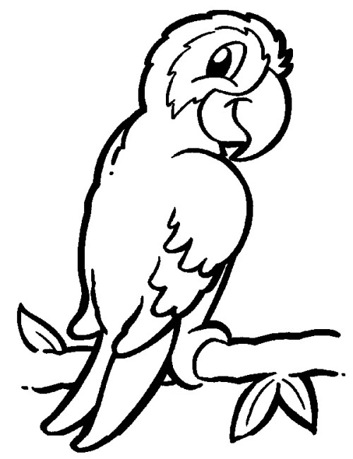 Birds Coloring Pages – 002