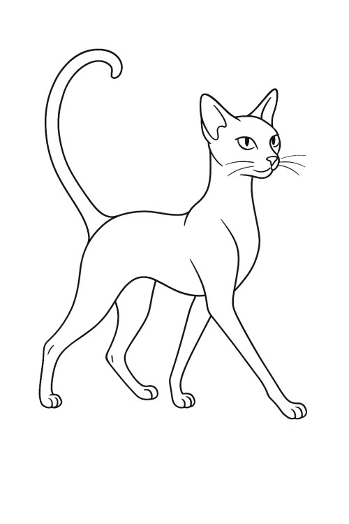 Cats Coloring Pages – 042