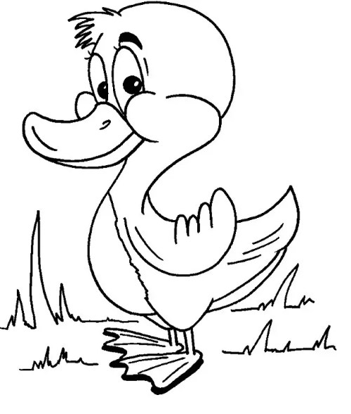 Ducklings Coloring Pages 007