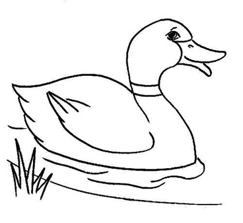 Ducklings Coloring Pages 009