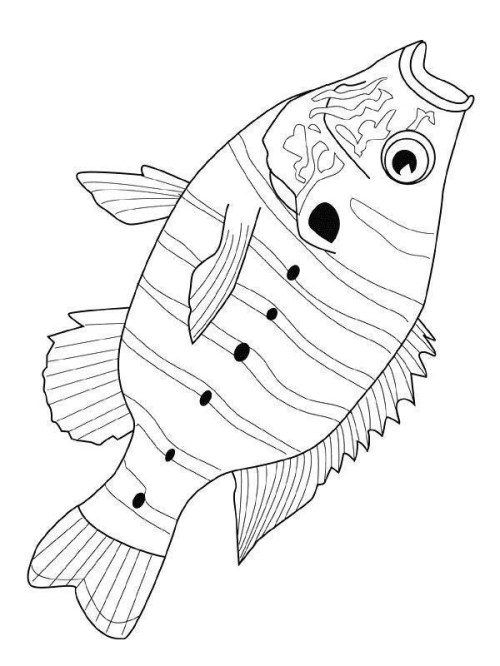 Fish Coloring Pages 002