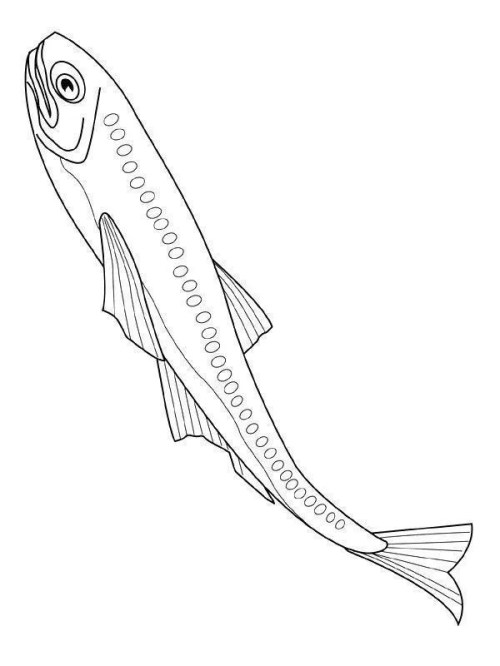 Fish Coloring Pages 004