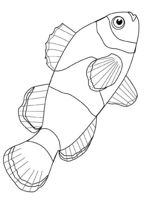 Fish Coloring Pages 017