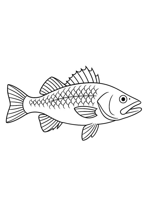 Fish Coloring Pages 044